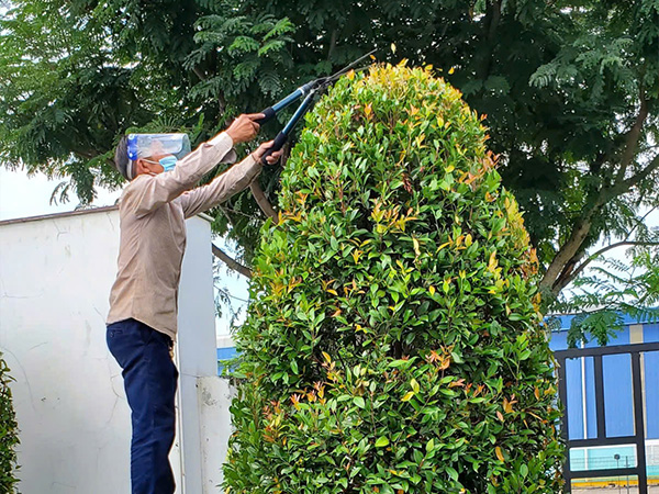 <B>CHĂM SÓC & BẢO DƯỠNG CÂY XANH</B>